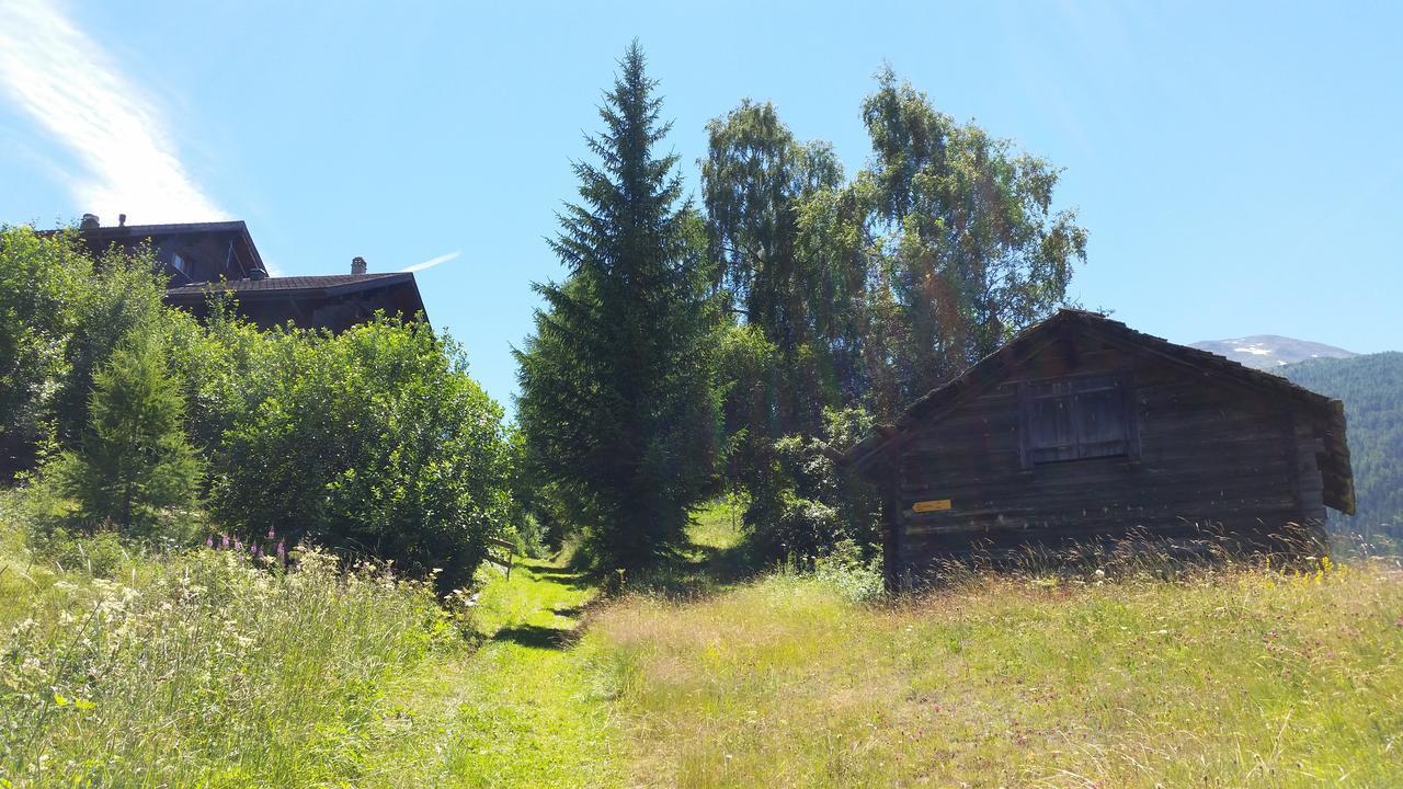 Chalet Bergmann Bürchen Exterior foto