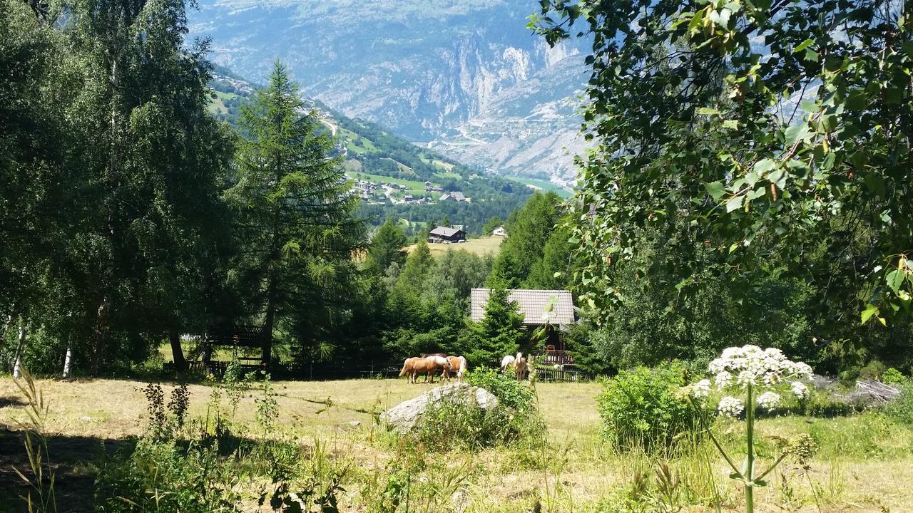 Chalet Bergmann Bürchen Exterior foto