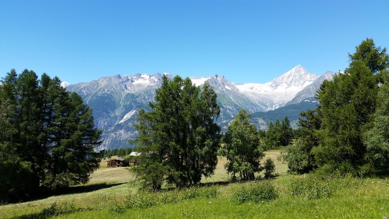 Chalet Bergmann Bürchen Exterior foto