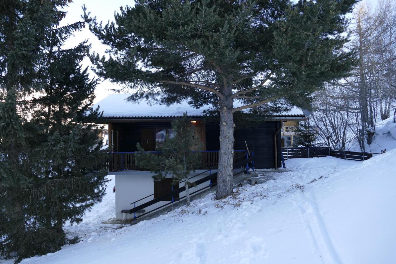 Chalet Bergmann Bürchen Exterior foto